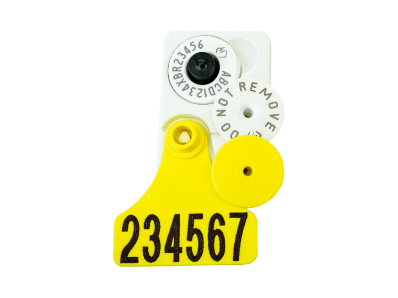 NLIS Medium + Button Combo Matching Management Set